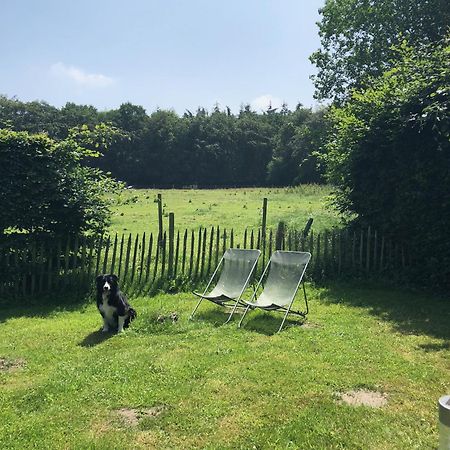 Hof Ter Sysen Villa Loppem Exteriör bild
