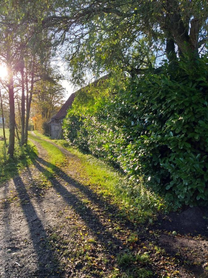 Hof Ter Sysen Villa Loppem Exteriör bild
