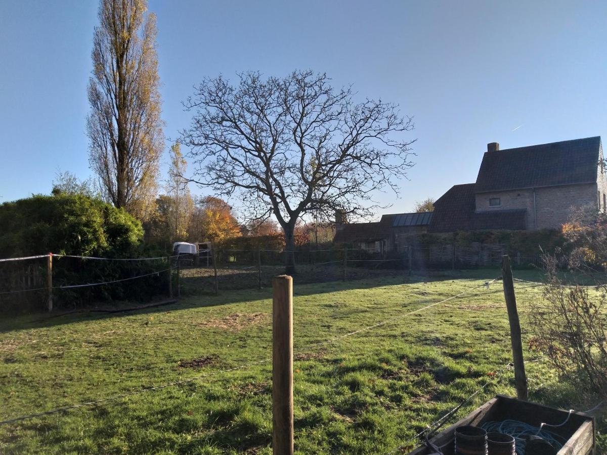 Hof Ter Sysen Villa Loppem Exteriör bild