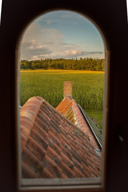 Hof Ter Sysen Villa Loppem Rum bild