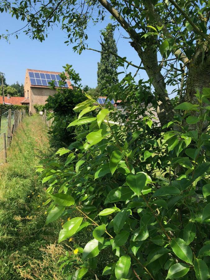 Hof Ter Sysen Villa Loppem Exteriör bild