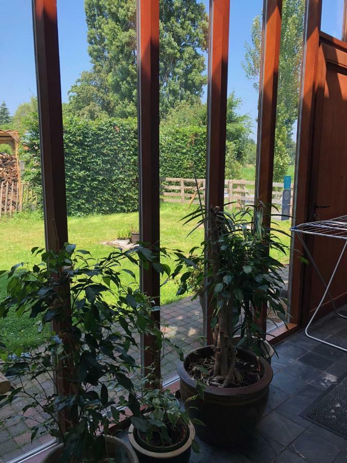 Hof Ter Sysen Villa Loppem Exteriör bild