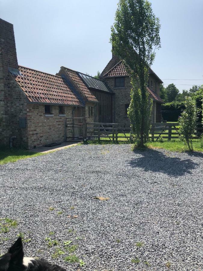 Hof Ter Sysen Villa Loppem Exteriör bild