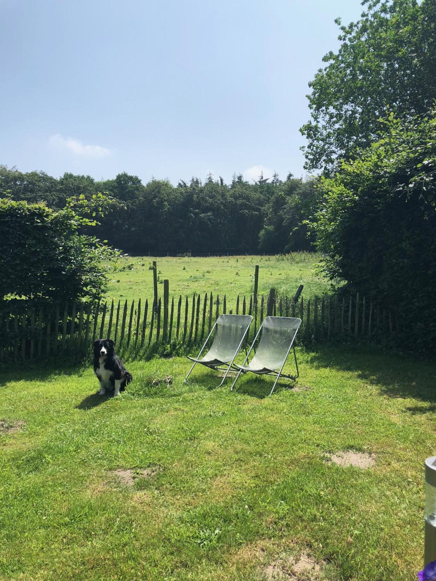 Hof Ter Sysen Villa Loppem Exteriör bild